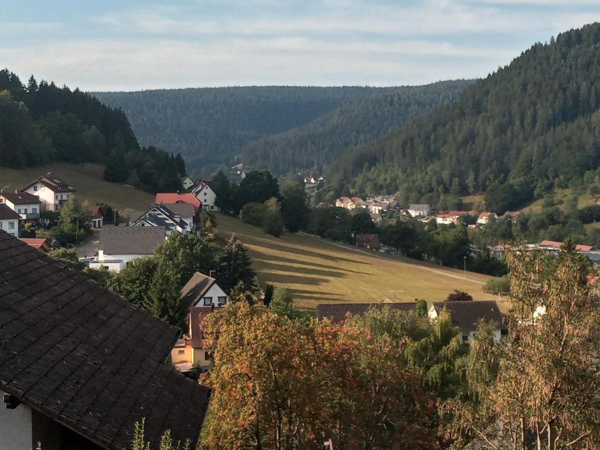 Waldblick Lejlighed Baiersbronn Eksteriør billede